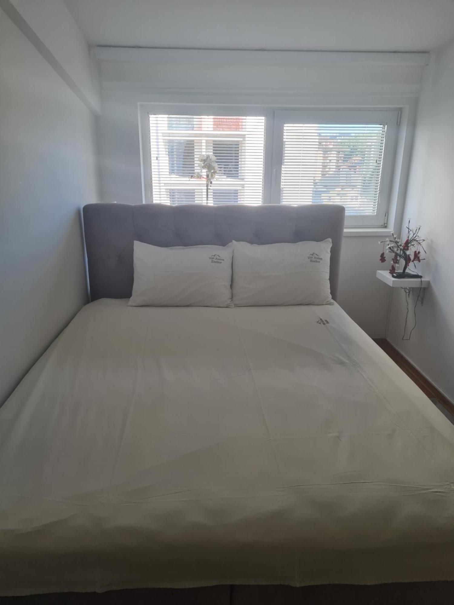 Vip Aleksa Centar Zlatibor