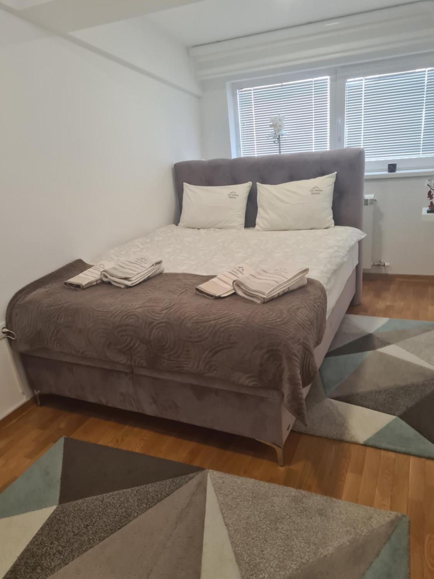 Apartment Vip Aleksa Centar *