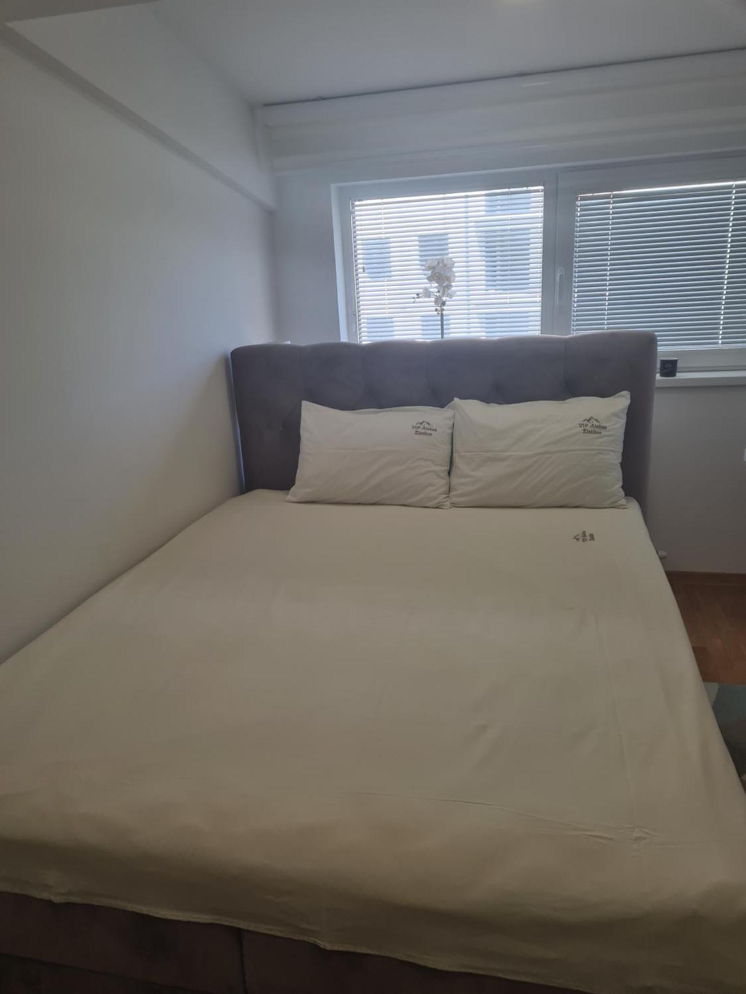 Vip Aleksa Centar