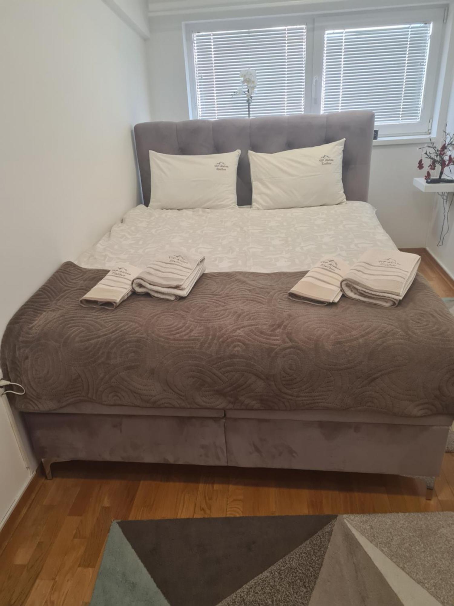 Apartment Vip Aleksa Centar