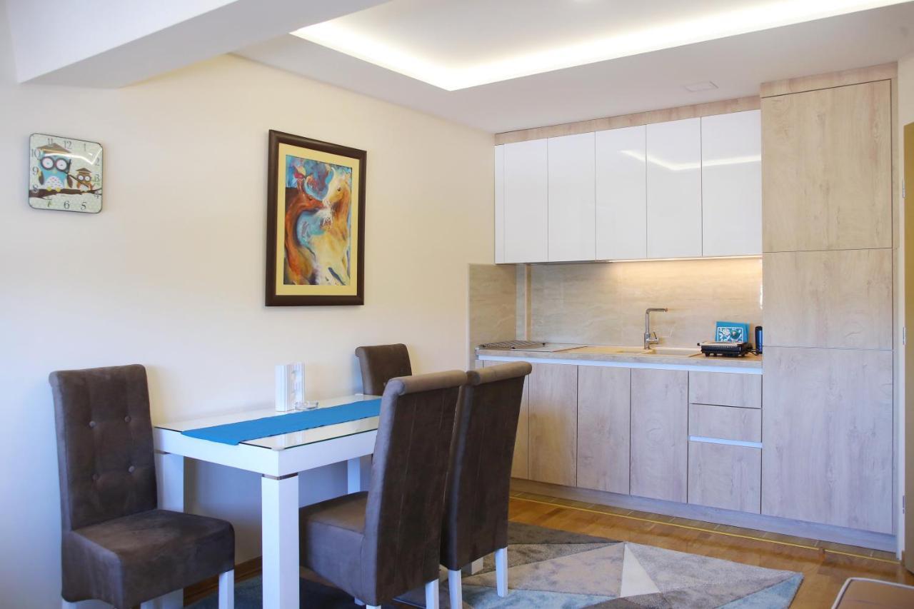 Apartment Vip Aleksa Centar